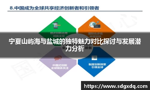 宁夏山屿海与盐城的独特魅力对比探讨与发展潜力分析