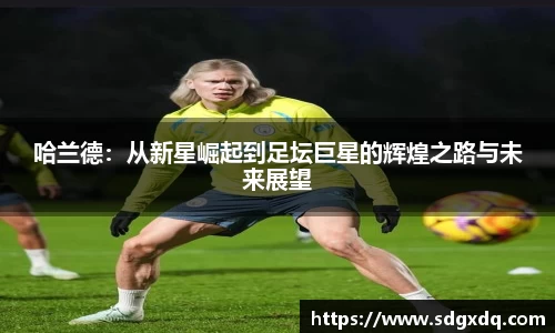 哈兰德：从新星崛起到足坛巨星的辉煌之路与未来展望
