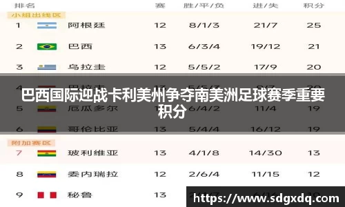巴西国际迎战卡利美州争夺南美洲足球赛季重要积分
