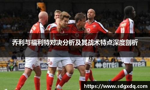 乔利与福利特对决分析及其战术特点深度剖析