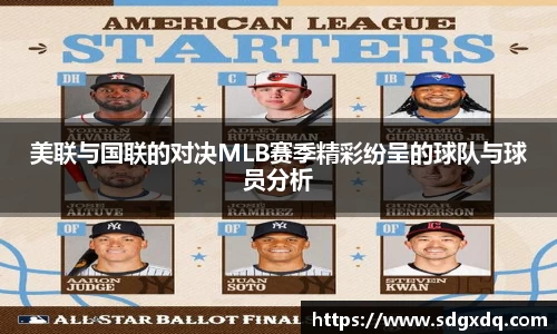 美联与国联的对决MLB赛季精彩纷呈的球队与球员分析