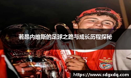 若昂内维斯的足球之路与成长历程探秘